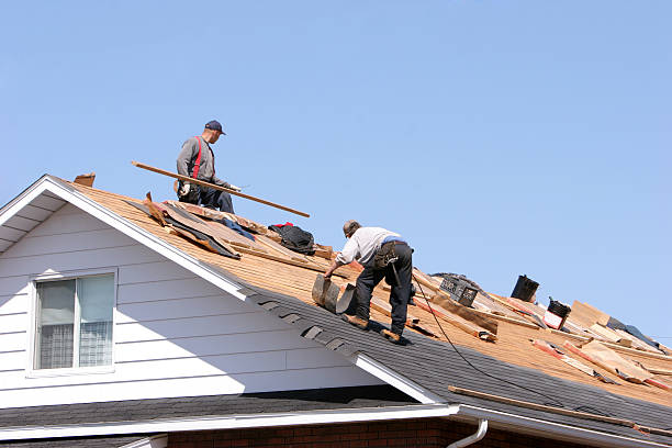 Best Storm Damage Roof Repair  in Kurtistown, HI